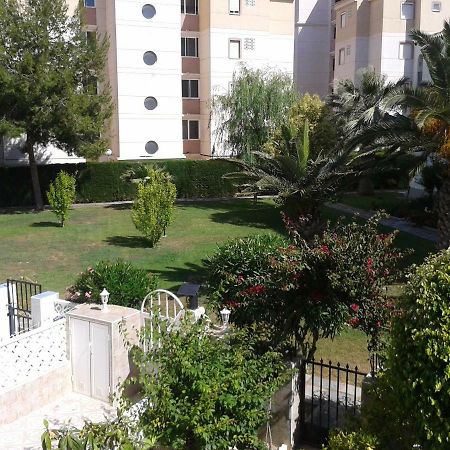 Duplex Calas Blancas Τορεβιέχα Εξωτερικό φωτογραφία